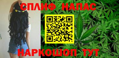 шишки Можайск