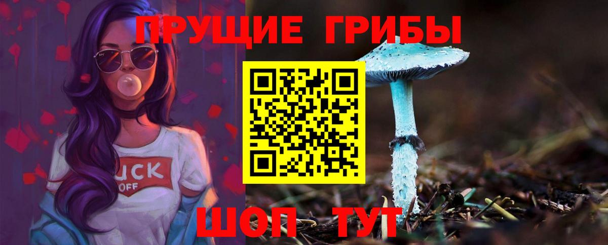 Галлюциногенные грибы Psilocybe Семёнов